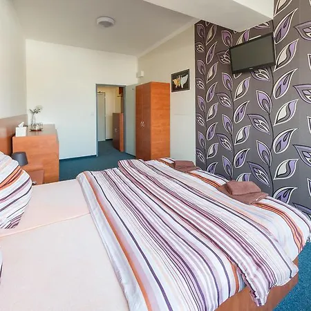 Guest house Cerny Andel Most